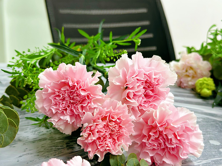 三八妇女节丨祝福所有女人：愿你笑靥如花，一生不减芳华！