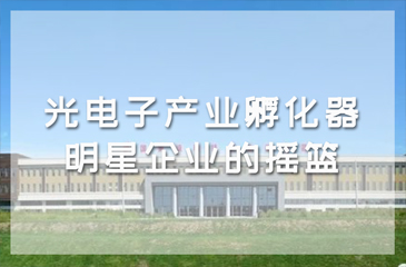「科技创新」光电子产业孵化器：“明星企业”的摇篮